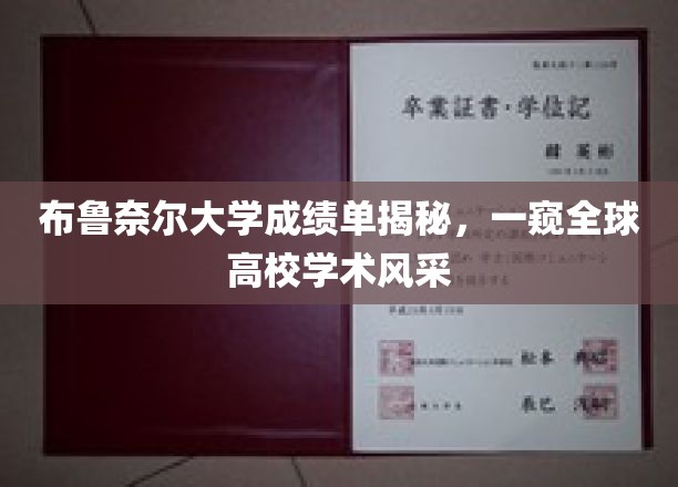 全球高校学术盛宴，布鲁奈尔大学成绩单背后探秘