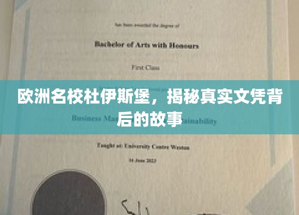 欧洲名校杜伊斯堡，揭秘真实文凭背后的故事
