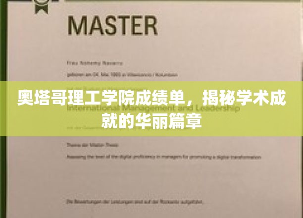 奥塔哥理工学院荣耀榜，揭秘学子卓越成就背后的故事