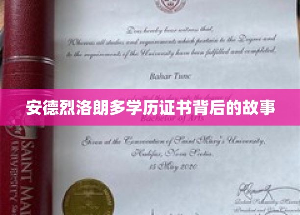 探寻安德烈·罗朗多学历证书背后的神秘之旅