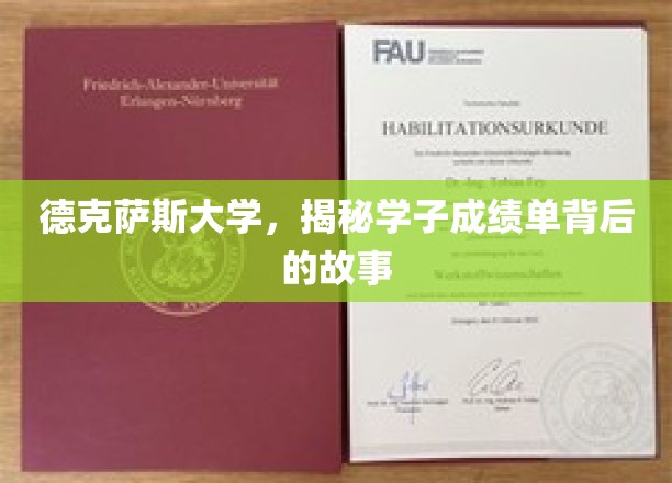 德克萨斯大学，揭秘学子成绩单背后的故事