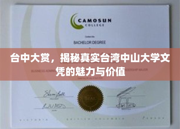 台湾中山大学文凭的璀璨魅力，台中大赏背后的价值探秘