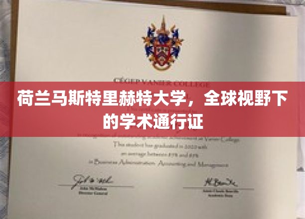 跨国智慧领航，马斯特里赫特大学打造全球学术通行证