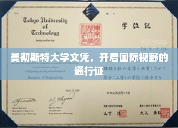 曼大文凭，跨国界启航的国际教育金钥匙