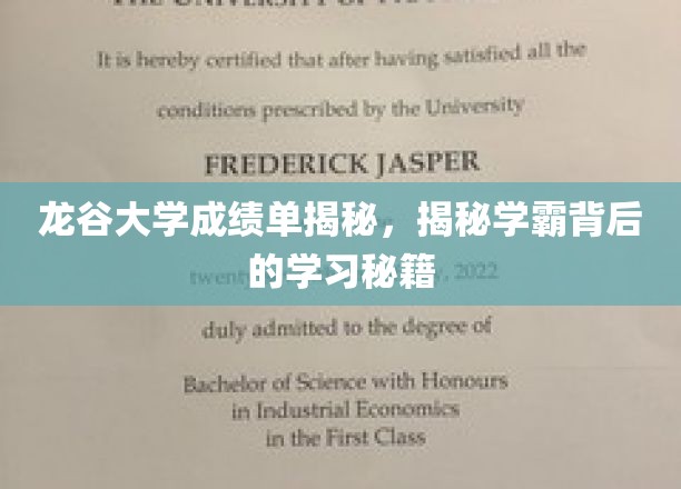 揭开龙谷学霸秘境，探寻高分背后的高效学习之道