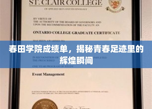 春田学院成绩单，揭秘青春足迹里的辉煌瞬间