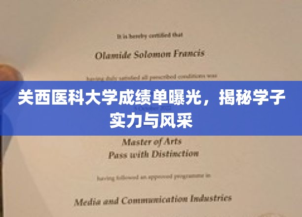 关西医科大学学子风采大揭秘，成绩单背后的实力与荣耀
