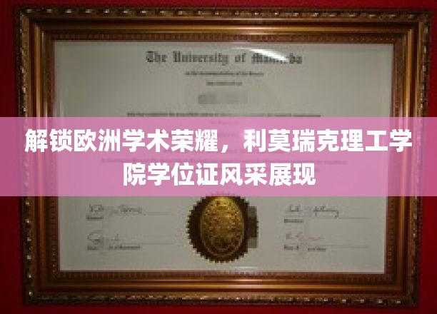 展示利莫瑞克理工学院学位证书，解锁欧洲学术荣耀