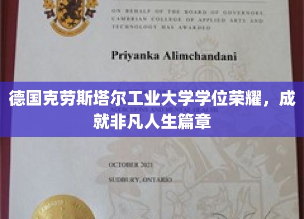 德国克劳斯塔尔工业大学学位荣耀，成就非凡人生篇章