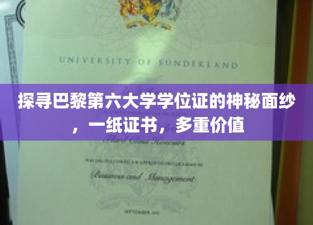 巴黎第六大学学位证背后的传奇故事，揭秘其不凡价值与多重意义