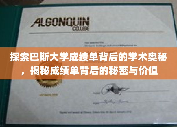 揭开巴斯大学成绩单的隐藏智慧，探寻学术成就的深层价值