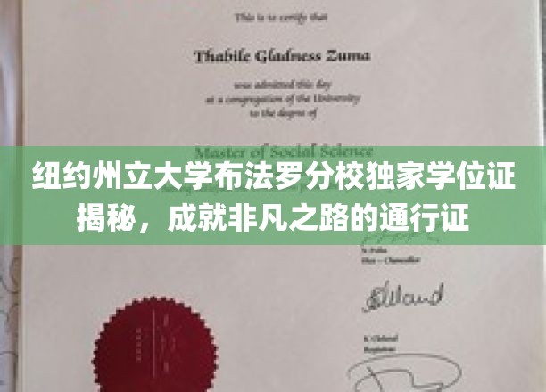 解锁非凡人生，纽约州立大学布法罗分校学位证背后的传奇故事