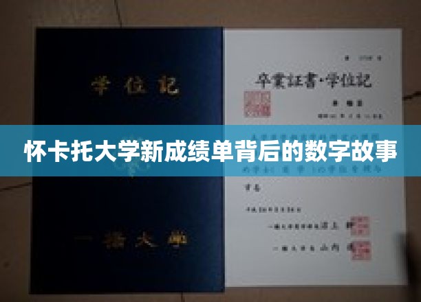 解码怀卡托大学成绩单，数字背后的教育启示录