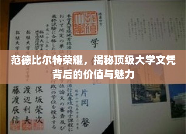 范德比尔特荣耀，探寻顶级大学文凭的价值与魅力