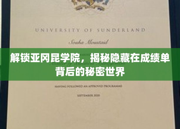 揭开成绩单背后，亚冈昆学院的神秘学府之旅