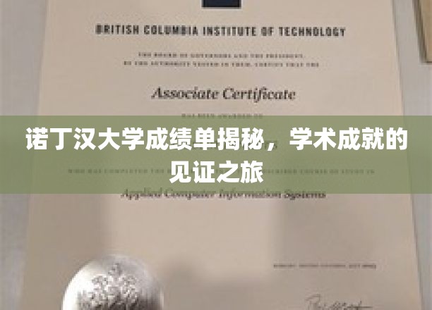 探索诺丁汉大学成绩单，解锁学术荣耀的奥秘之旅