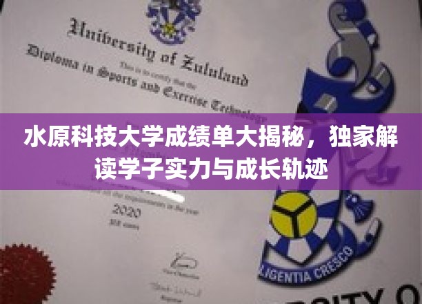 水原科技大学成绩单大揭秘，独家解读学子实力与成长轨迹