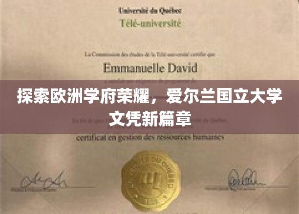 欧洲教育瑰宝绽放，爱尔兰国立大学开启全球认可新纪元