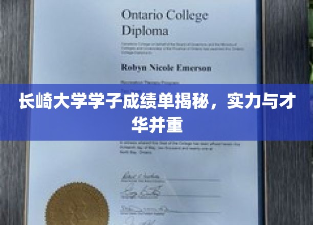 长崎大学精英学子，成绩单背后隐藏的卓越实力与才华风采