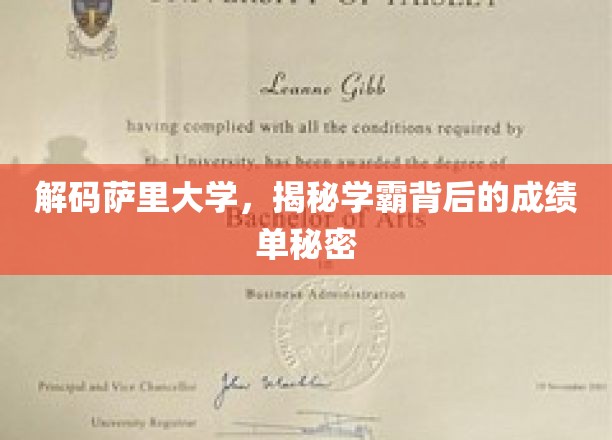 探寻萨里学霸的秘密，揭秘成绩背后的卓越之路