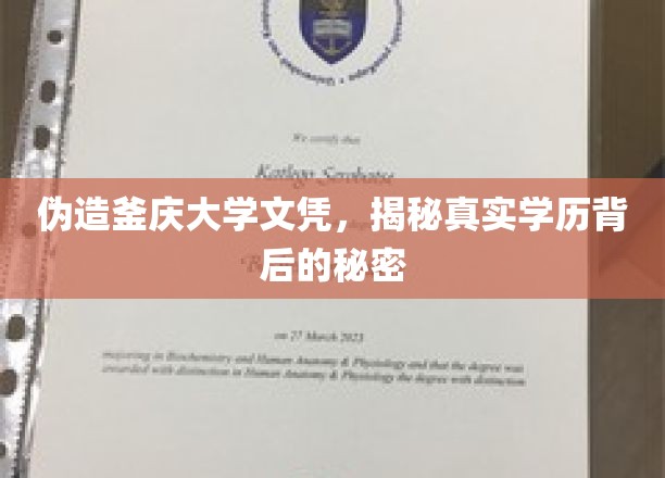 伪造名校文凭背后的真相，揭秘学历背后的秘密与谎言
