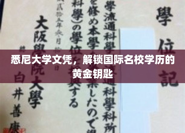 悉尼大学文凭，开启通往国际名校的璀璨生涯之门