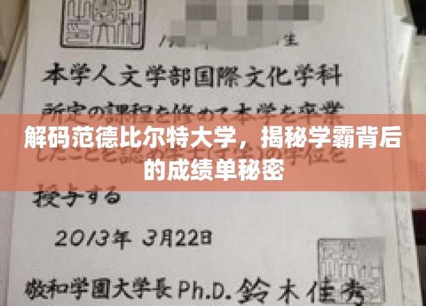 揭开范德比尔特学霸的成就密码，揭秘学霸背后的成绩奥秘