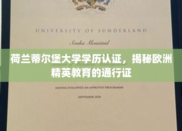 荷兰蒂尔堡大学学历，开启欧洲精英教育之门