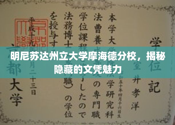 明尼苏达州立大学摩海德分校，揭秘隐藏的文凭魅力