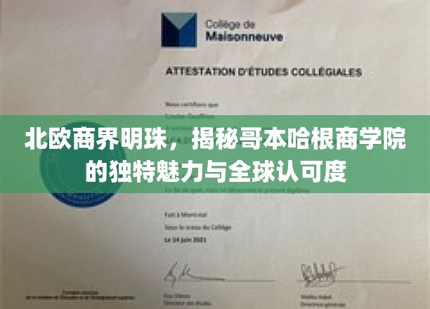 闪耀全球的北欧教育瑰宝，揭秘哥本哈根商学院的非凡魅力与卓越声誉