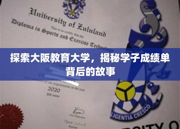 探索大阪教育大学，一窥学子成绩单背后的精彩故事