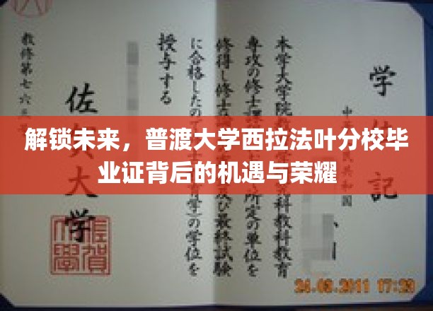 探索未知，普渡西拉法叶分校毕业证背后的辉煌之路