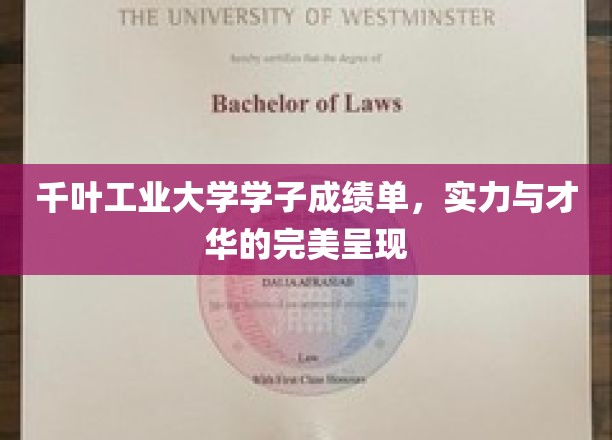 千叶学子风采录，工业科技精英的卓越表现
