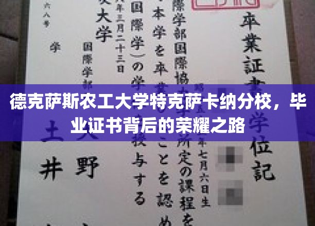 德克萨斯农工大学特克萨卡纳分校，荣耀证书背后的奋斗篇章