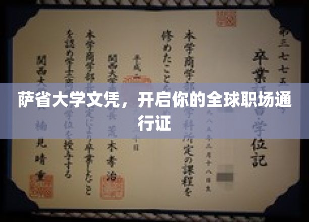 萨省大学文凭，通向国际职场的高端桥梁