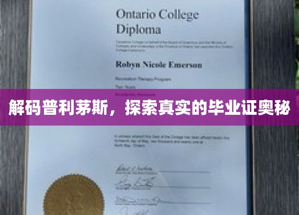 解码普利茅斯，探索真实的毕业证奥秘