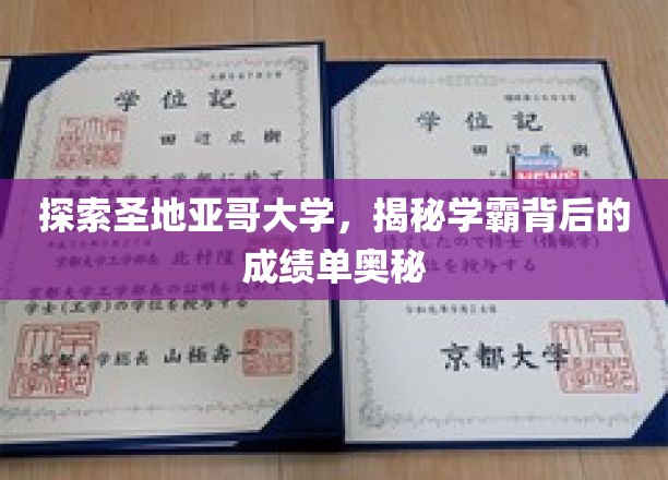圣地亚哥学霸养成记，揭秘大学精英的成绩单秘密