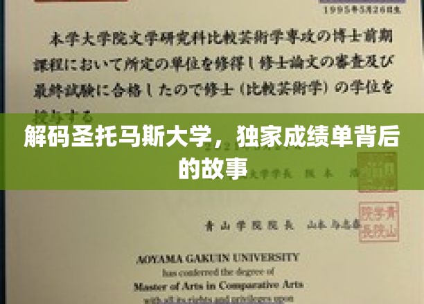 解码圣托马斯大学，独家成绩单背后的故事