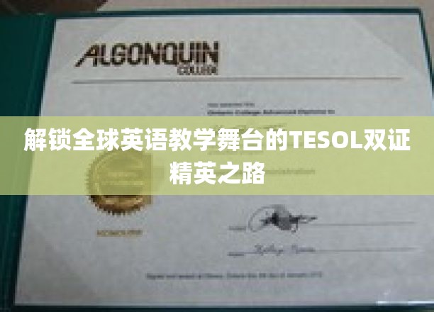 跨越英语教学巅峰，TESOL双证精英的全球舞台之旅