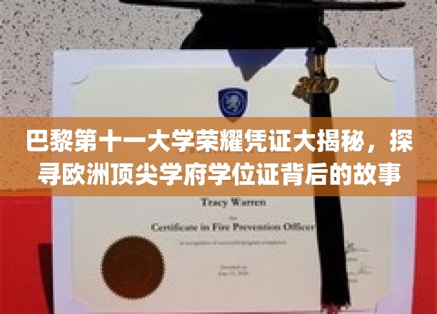 解码巴黎第十一大学荣耀学位，欧洲精英教育凭证的传奇历程