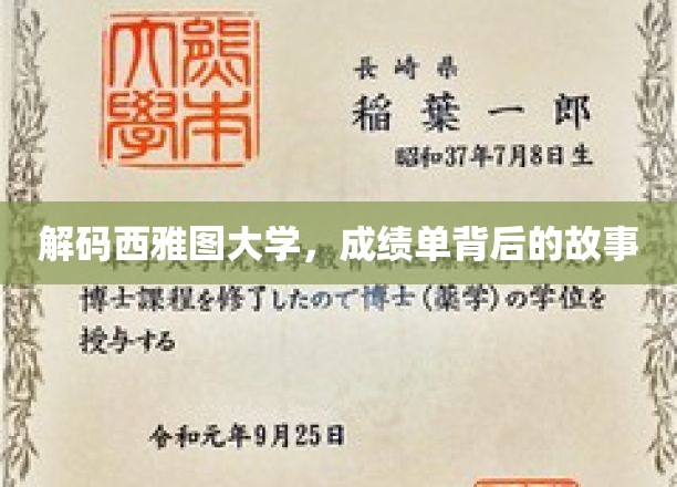 探寻西雅图大学卓越背后的真实故事
