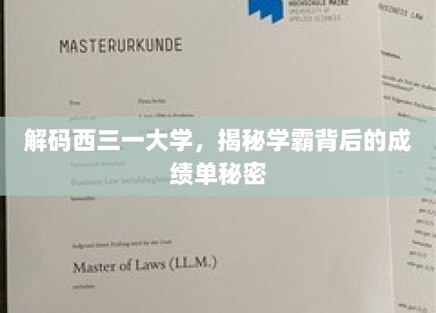 解码西三一大学，揭秘学霸背后的成绩单秘密