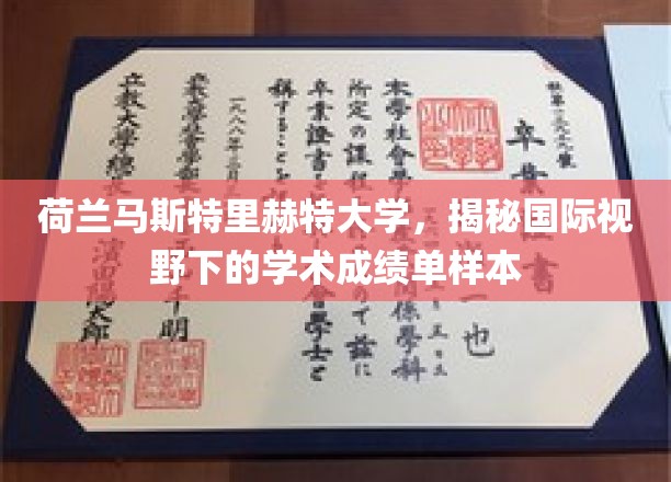 解锁全球视角，荷兰马斯特里赫特大学学术成绩单样本解读