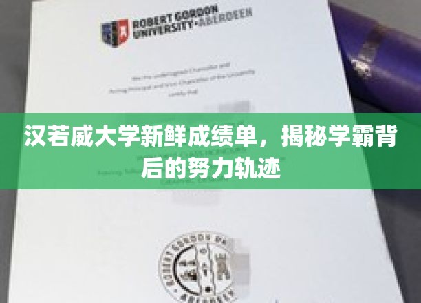 汉诺威大学新鲜成绩单，揭秘学霸背后的努力轨迹