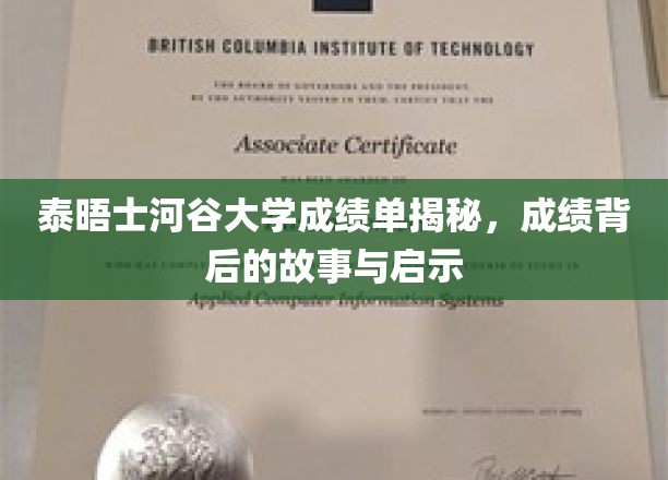 探索泰晤士河谷大学成绩单背后，揭秘学子成长轨迹与宝贵启示