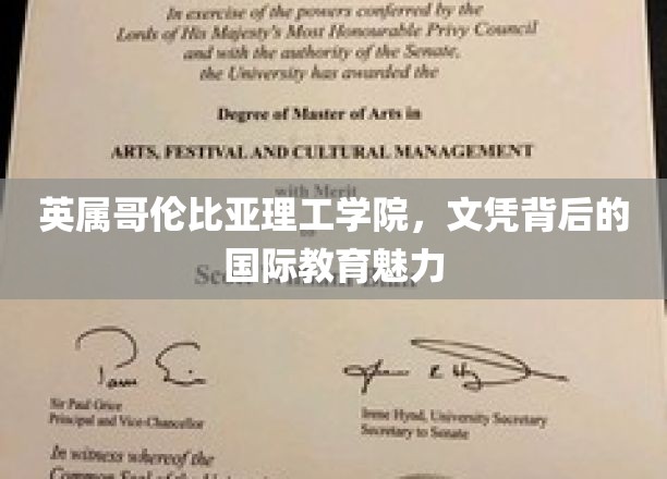 英属哥伦比亚理工学院，文凭背后的国际教育魅力