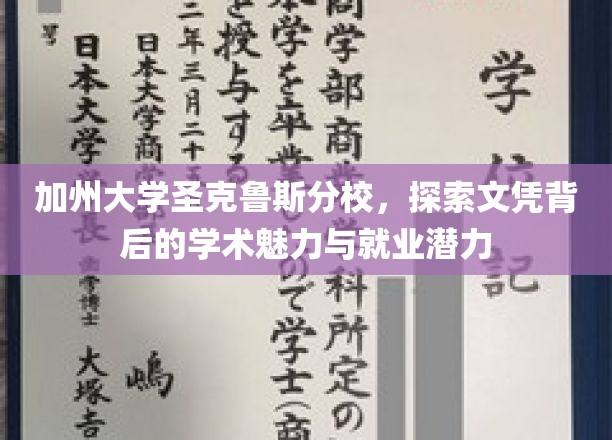 解码加州圣克鲁斯，文凭之光与未来职场之路