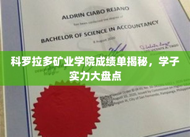 科罗拉多矿业学院学霸档案大公开，揭秘学子的卓越实力与学术成就