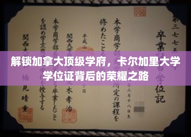 解锁加拿大顶级学府，卡尔加里大学学位证背后的荣耀之路