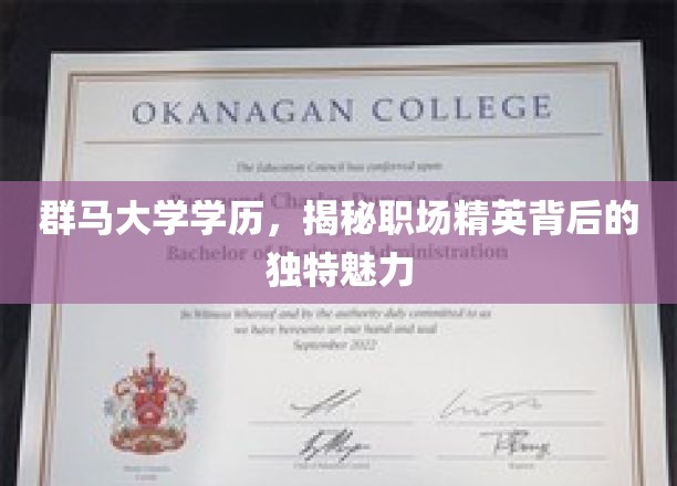 群马精英养成记，群马大学学历背后的职场魅力解析